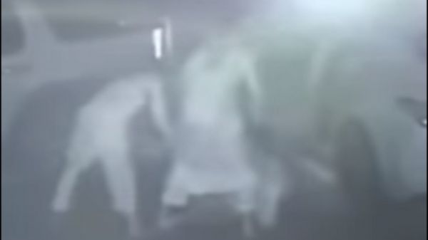 السلطات السعودية تفتح تحقيقا بمقطع فيديو وثق لحظة اختطاف شاب في المملكة (شاهد فيديو)