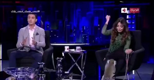 صحفية مصرية تفر مذعورة من الاستوديو على الهواء (فيديو)