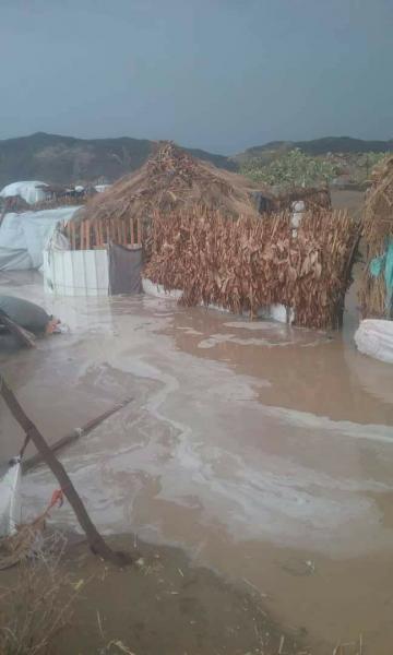 شاهد بالصور: أضرر كبيرة في مخيمات النازحين في عبس بمحافظة حجة جراء سيول الأمطار الغزيرة