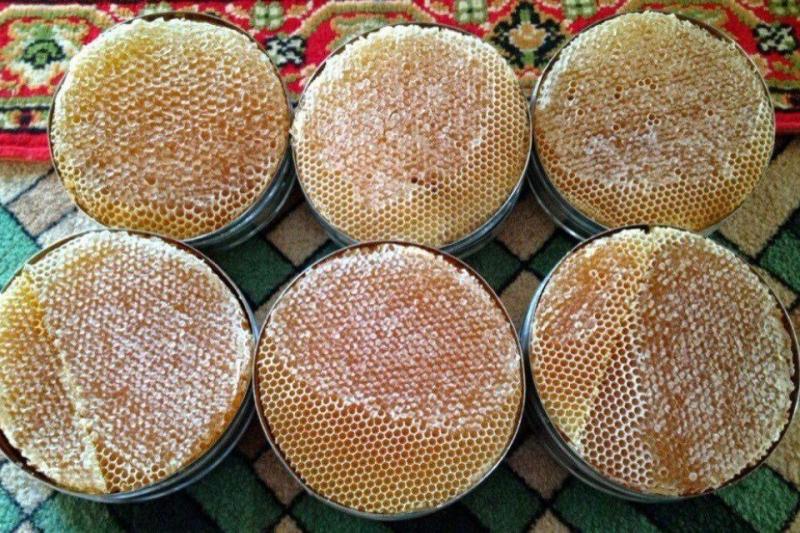 الصليب الأحمر تتحدث عن عوامل تهدد إنتاج العسل اليمني الشهير