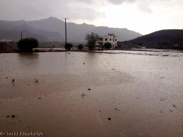 شاهد بالصور جمال الطبيعة في هطول الامطار وتجمع السيول قبل قليل على منطقة أرتل بصنعاء