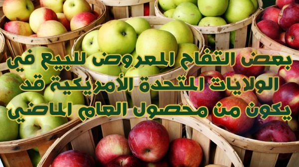 بالصور.. 10 معلومات غريبة لا تعرفها عن الفواكه