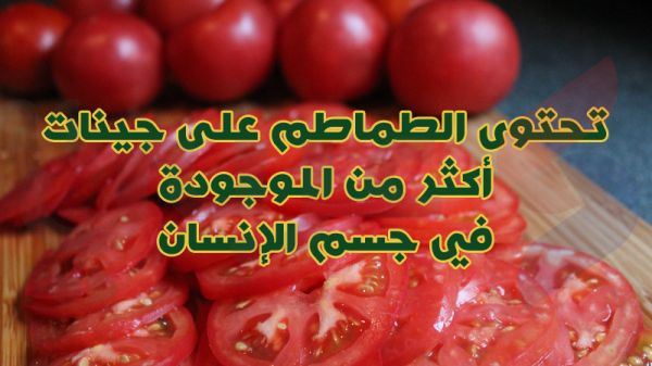 بالصور.. 10 معلومات غريبة لا تعرفها عن الفواكه