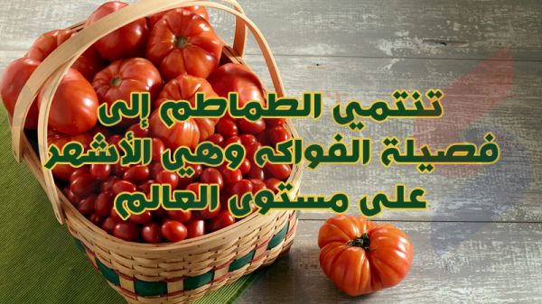 بالصور.. 10 معلومات غريبة لا تعرفها عن الفواكه